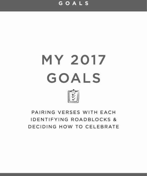 My 2017 Goals