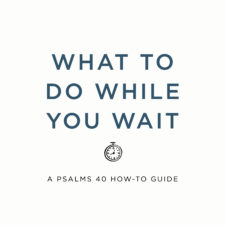 What to do while you wait